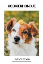 Kooikerhondje af Levente Szabó