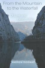 From the Mountain to the Waterfall af Andrew Ridgway