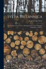 Sylva Britannica: Or, Portraits of Forest Trees, Distinguished for Their Antiquity, Magnitude, or Beauty af Jacob George Strutt