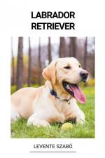 Labrador Retriever af Levente Szabó