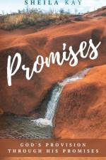Promises: God's Provision through His Promises af Sheila Kay