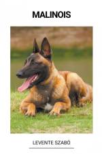 Malinois af Levente Szabó