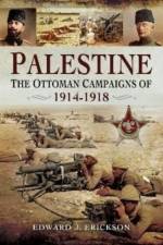 Palestine af Edward J Erickson