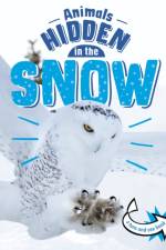 Animals Hidden in the Snow af Jessica Rusick