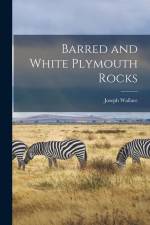 Barred and White Plymouth Rocks af Joseph Wallace