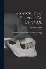 Anatomie Du Cerveau De L'homme: Morphologie Des Hémisphères Cérébraux, Ou Cerveau Proprement Dit af Edouard Brissaud