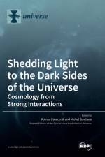 Shedding Light to the Dark Sides of the Universe af Roman Pasechnik