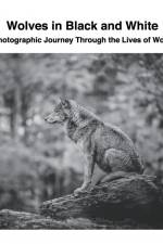 Wolves in Black and White af David Sechovicz
