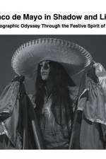 Cinco de Mayo in Shadow and Light af David Sechovicz