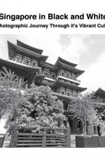 Singapore in Black and White af David Sechovicz