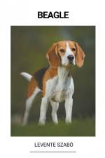 Beagle af Levente Szabó