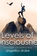 Levels of Consciousness af Angelika Drake