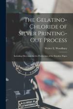 The Gelatino-Chloride of Silver Printing-Out Process: Including Directions for the Production of the Sensitive Paper af Walter E. Woodbury