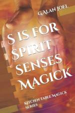 S is for Spirit Senses Magick: Kitchen Table Magick Series af G. Alan Joel
