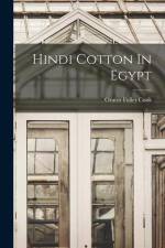 Hindi Cotton In Egypt af Orator Fuller Cook