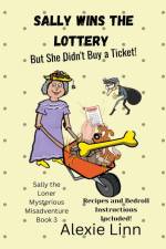 Sally Wins the Lottery -- But She Didn't Buy the Ticket af Alexie Linn