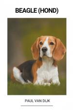 Beagle (Hond) af Paul van Dijk