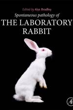 Pathology of the Laboratory Rabbit