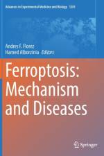 Ferroptosis: Mechanism and Diseases