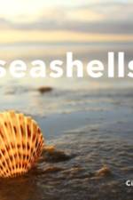 Seashells af Cindy Bilbao