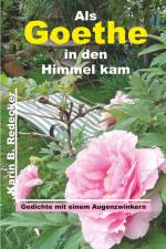 Als Goethe in den Himmel kam af Karin B Redecker