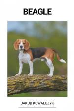 Beagle af Jakub Kowalczyk