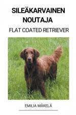 Sileäkarvainen Noutaja (Flat Coated Retriever) af Emilia Mäkelä