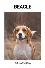 Beagle af Emilia Mäkelä