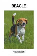 Beagle af Finn Nielsen