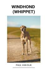 Windhond (Whippet) af Paul van Dijk