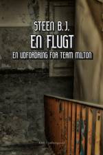 En flugt af Steen B. J.