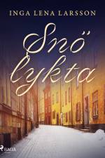 Snölykta af Inga Lena Larsson
