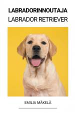 Labradorinnoutaja (Labrador Retriever) af Emilia Mäkelä