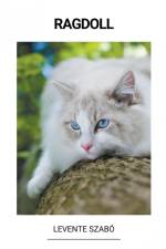 Ragdoll af Levente Szabó