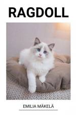 Ragdoll af Emilia Mäkelä