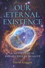 Our Eternal Existence af David Gaggin