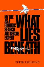 What Lies Beneath af Peter Faulding