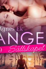 Angel 9: Sällskapet - Erotisk novell af Agnes Ek