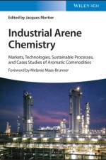 Industrial Arene Chemistry af J Mortier