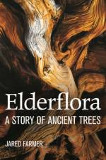 Elderflora