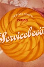 Servicebesök - erotisk novell