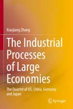 The Industrial Processes of Large Economies af Xiaojiang Zhang