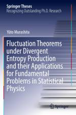 Fluctuation Theorems under Divergent Entropy Production and their Applications for Fundamental Problems in Statistical Physics af Yûto Murashita
