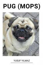 Pug (Mops) af Yusuf Yilmaz