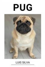 Pug af Luis Silva