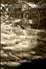 Forgotten Echoes af Rosario Aurelius