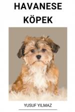 Havanese Köpek af Yusuf Yilmaz