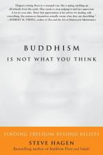 Buddhism Is Not What You Think af Steve Hagen