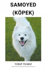 Samoyed (Köpek) af Yusuf Yilmaz