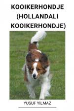 Kooikerhondje (Hollandal¿ Kooikerhondje) af Yusuf Yilmaz